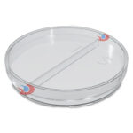 Fıratmed Plastik Petri Kutusu - 2 Bölmeli Ø90 mm x 15 mm (Aseptik,Steril Olmayan Petri Kabı) - Görsel 4