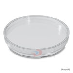 Fıratmed Plastik Petri Kutusu Ø90 mm x 15 mm (Aseptik,Steril Olmayan Petri Kabı) - Görsel 4