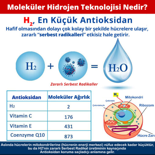 HypogenX Animal Health Göz ve Kulak Temizleme Solüsyonu - 200 mL (Hipokloröz Asit Bazlı) - Görsel 3