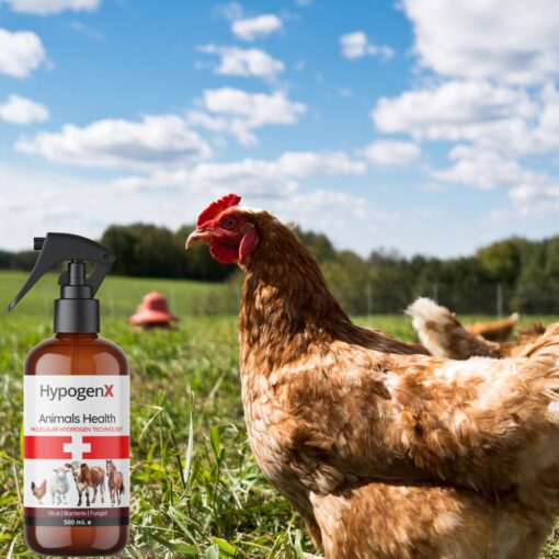 HypogenX Animal Health Göz ve Kulak Temizleme Solüsyonu - 200 mL (Hipokloröz Asit Bazlı) - Görsel 2