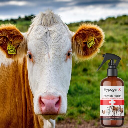HypogenX Animal Health Göz ve Kulak Temizleme Solüsyonu - 200 mL (Hipokloröz Asit Bazlı) - Görsel 8