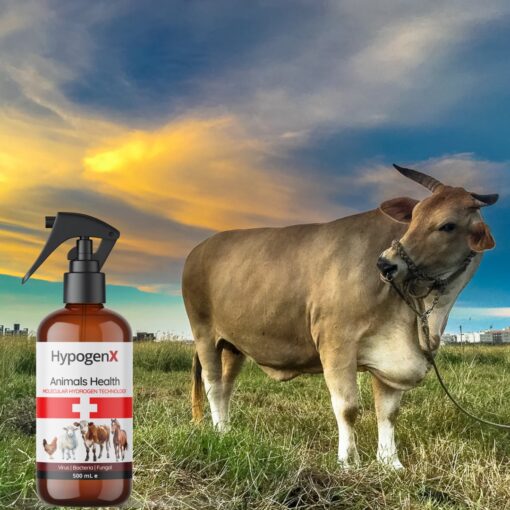 HypogenX Animal Health Göz ve Kulak Temizleme Solüsyonu - 200 mL (Hipokloröz Asit Bazlı) - Görsel 4