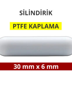 Manyetik Balık - Silindirik (PTFE Kaplı) - 30 mm x 6 mm