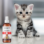 HypogenX Pets Health - Göz ve Kulak Temizleme Solüsyonu - 200 mL Sprey Başlıklı (Hipokloröz Asit Bazlı) - Görsel 5