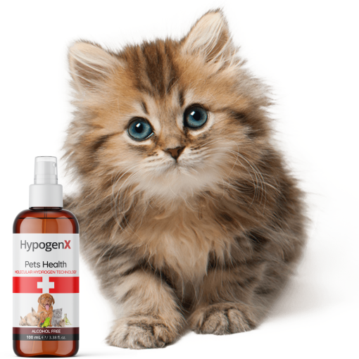 HypogenX Pets Health - Göz ve Kulak Temizleme Solüsyonu - 200 mL Sprey Başlıklı (Hipokloröz Asit Bazlı) - Görsel 13