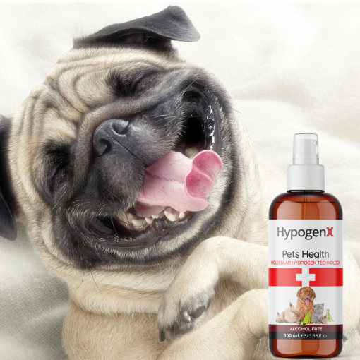 HypogenX Pets Health - Göz ve Kulak Temizleme Solüsyonu - 200 mL Sprey Başlıklı (Hipokloröz Asit Bazlı) - Görsel 12