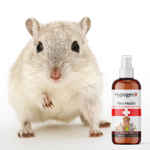 HypogenX Pets Health - Göz ve Kulak Temizleme Solüsyonu - 200 mL Sprey Başlıklı (Hipokloröz Asit Bazlı) - Görsel 11