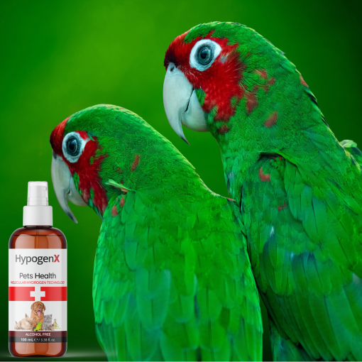 HypogenX Pets Health - Göz ve Kulak Temizleme Solüsyonu - 200 mL Sprey Başlıklı (Hipokloröz Asit Bazlı) - Görsel 10