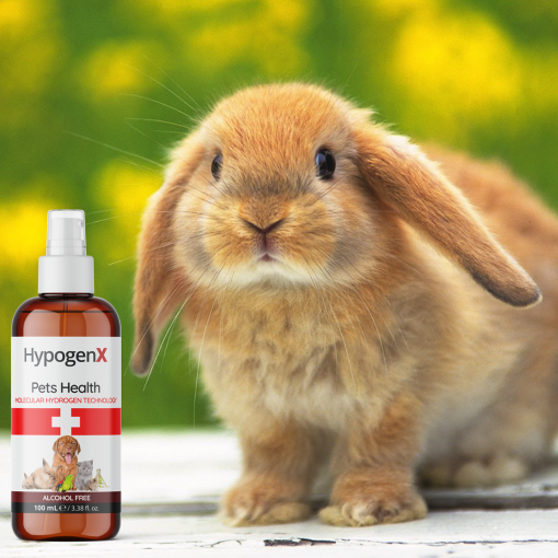HypogenX Pets Health - Göz ve Kulak Temizleme Solüsyonu - 200 mL Sprey Başlıklı (Hipokloröz Asit Bazlı) - Görsel 7
